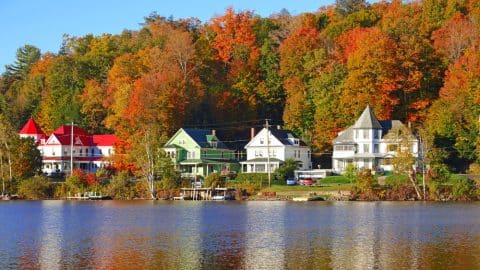 shutterstock shutterstock