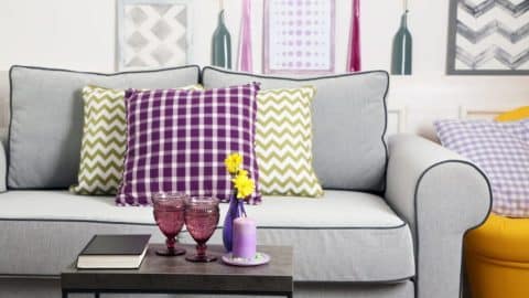 shutterstock x shutterstock x